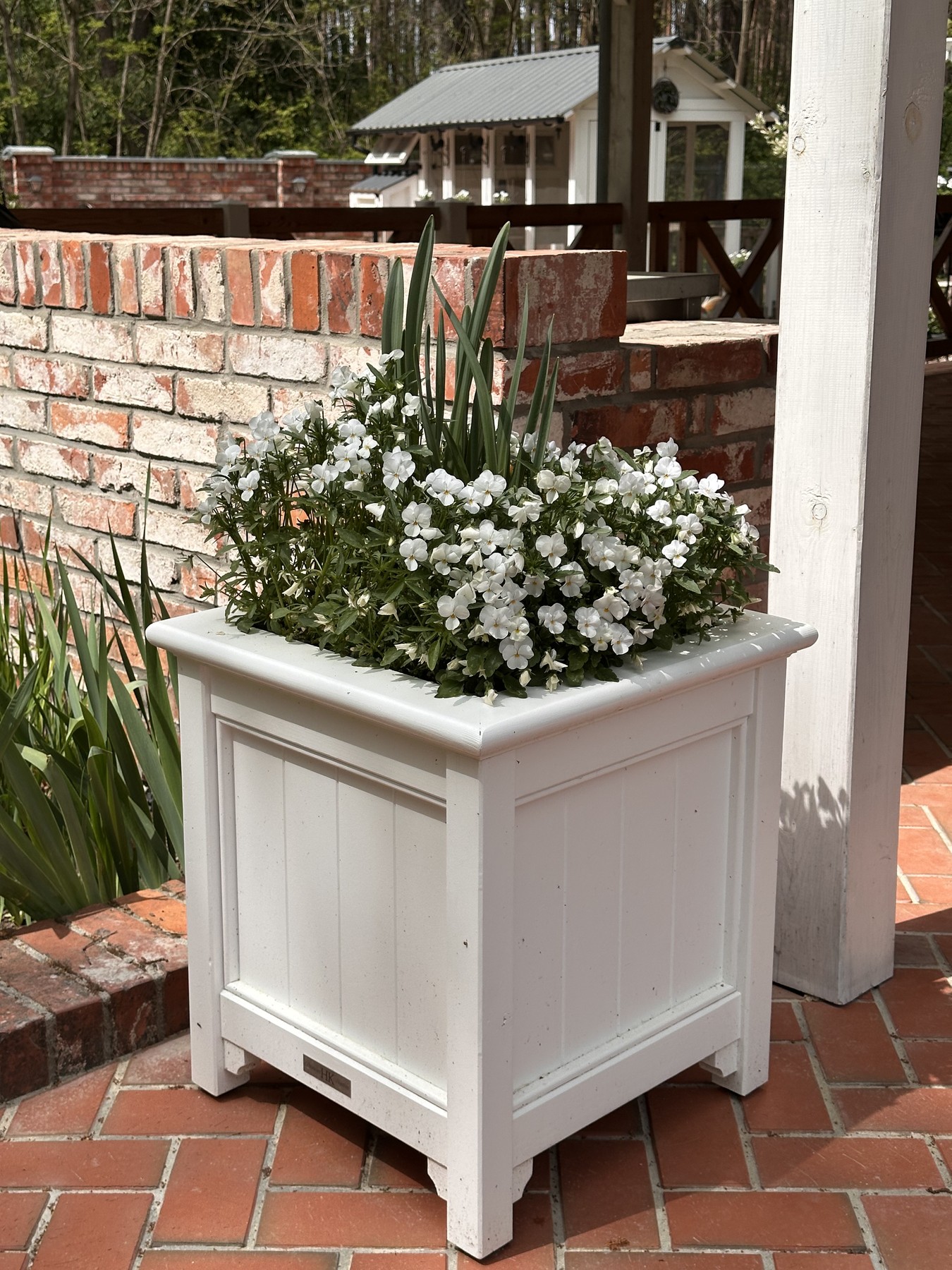 HK Premium Planters z kwiatami