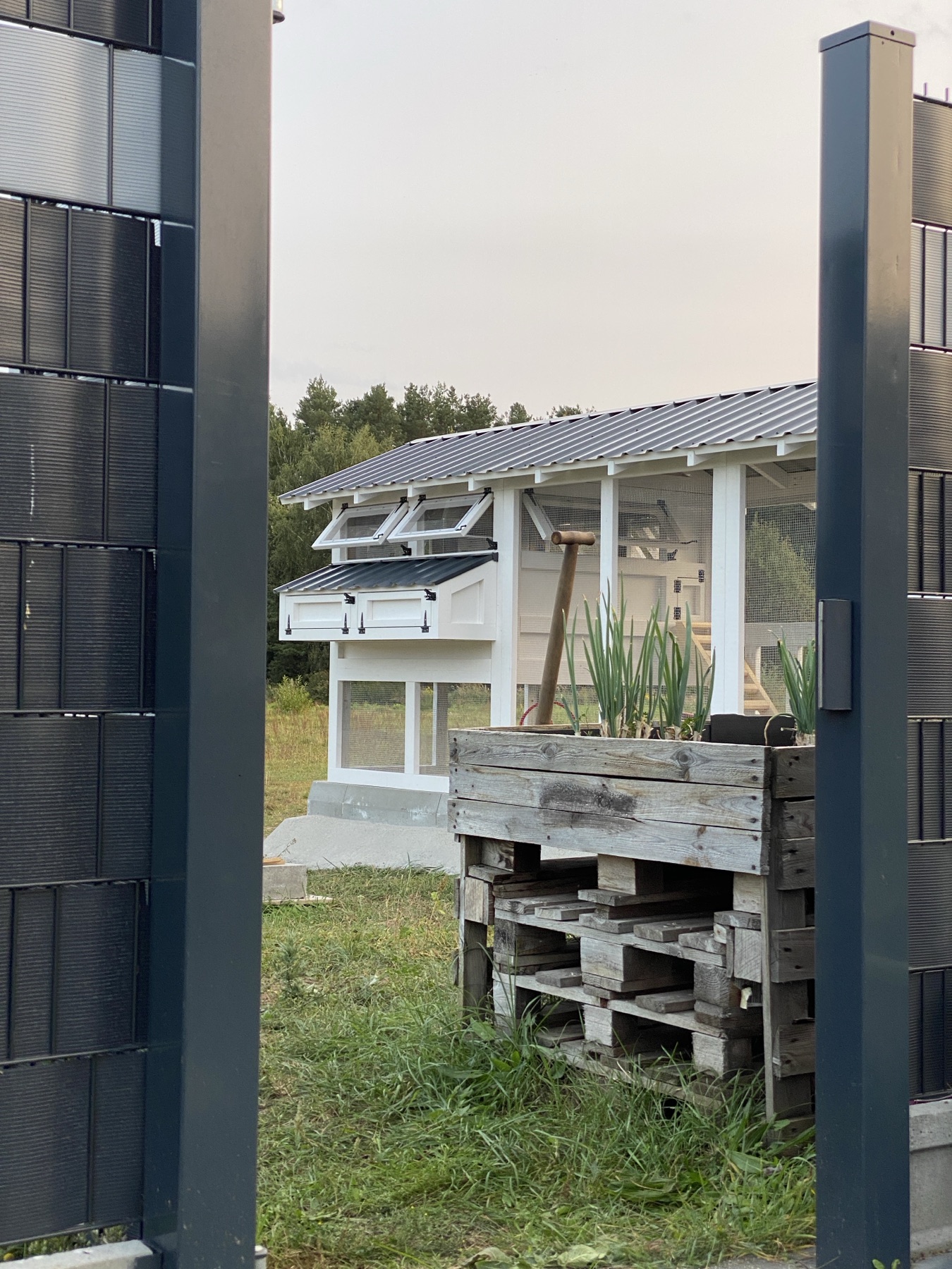 Solidny drewniany kurnik HappyKura — realizacja 24